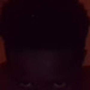 Meet your Posher, Bertin